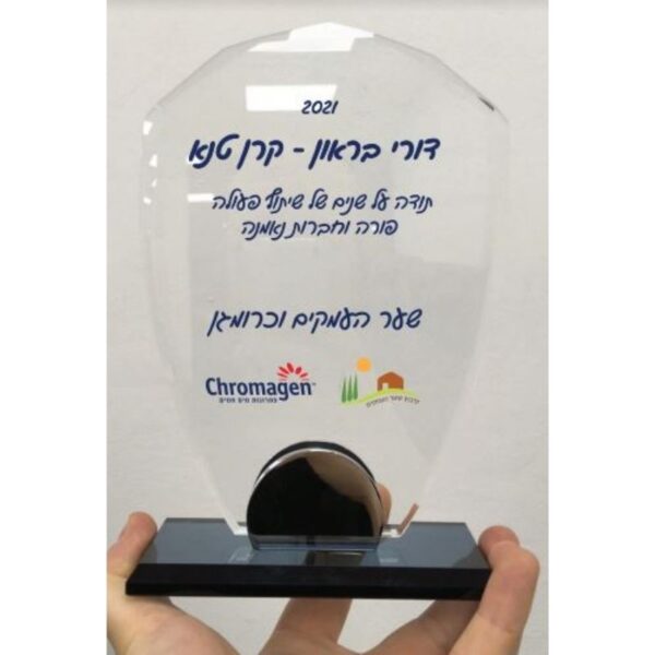 מגן זכוכית